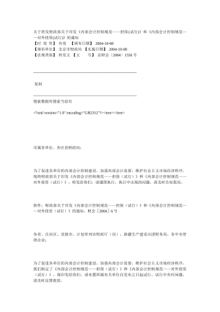 内部会计控制规范(担