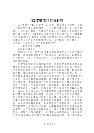 XX支部工作汇报材料