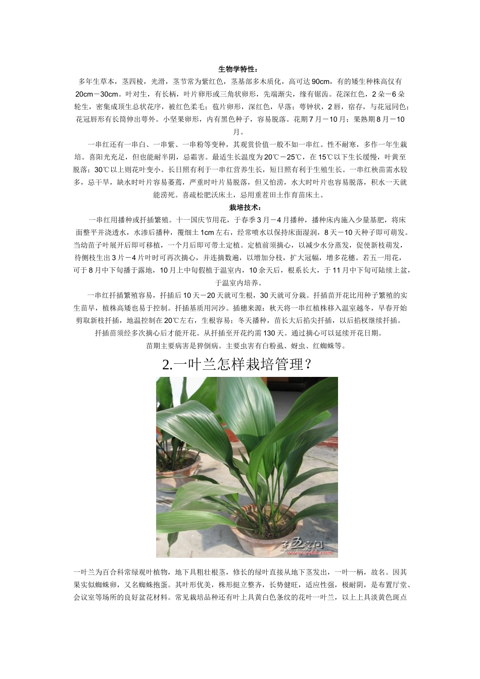 家庭养花大全 (配图)一_第3页