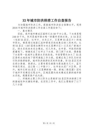 XX年城市防洪排涝工作自查报告