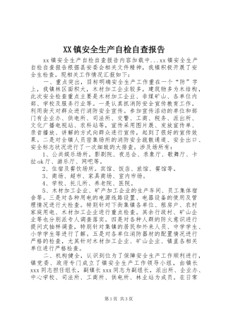 XX镇安全生产自检自查报告