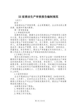XX省清洁生产审核报告编制规范