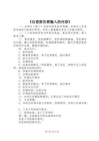 《自查报告要输入的内容》