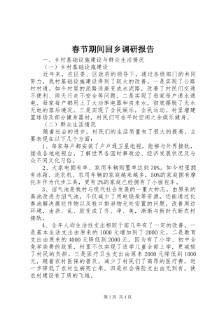 春节期间回乡调研报告