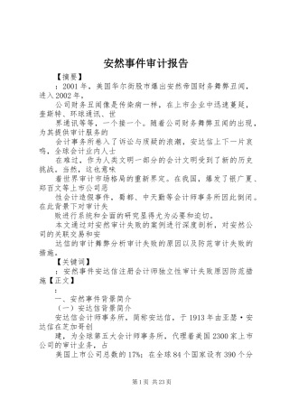安然事件审计报告