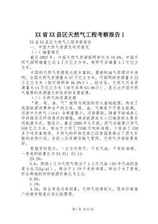 XX省XX县区天然气工程考察报告1