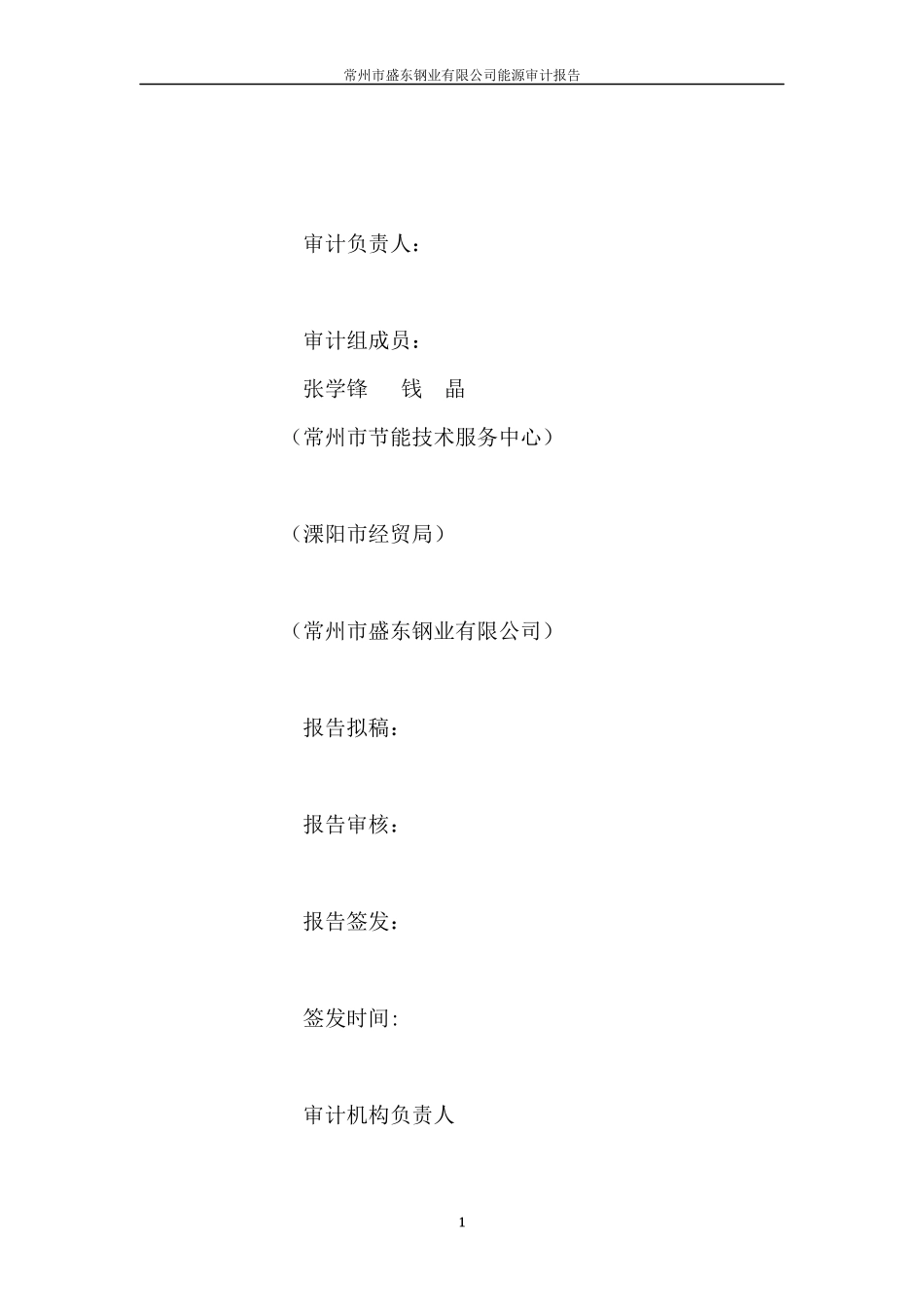 盛东能源审计报告11_第3页