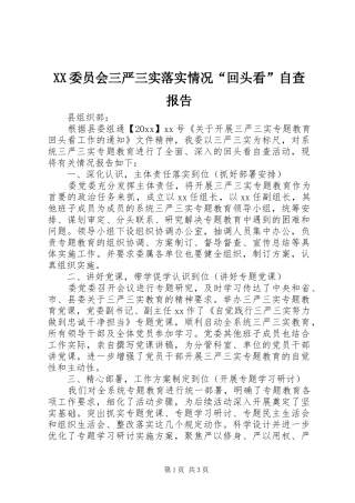 XX委员会三严三实落实情况“回头看”自查报告