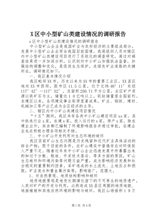 X区中小型矿山类建设情况的调研报告