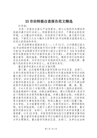 XX市治转提自查报告范文精选