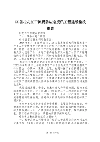 XX省松花江干流堤防应急度汛工程建设整改报告