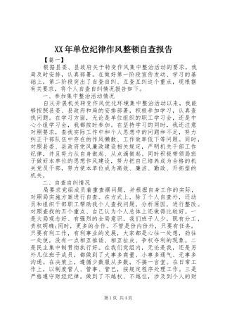 XX年单位纪律作风整顿自查报告