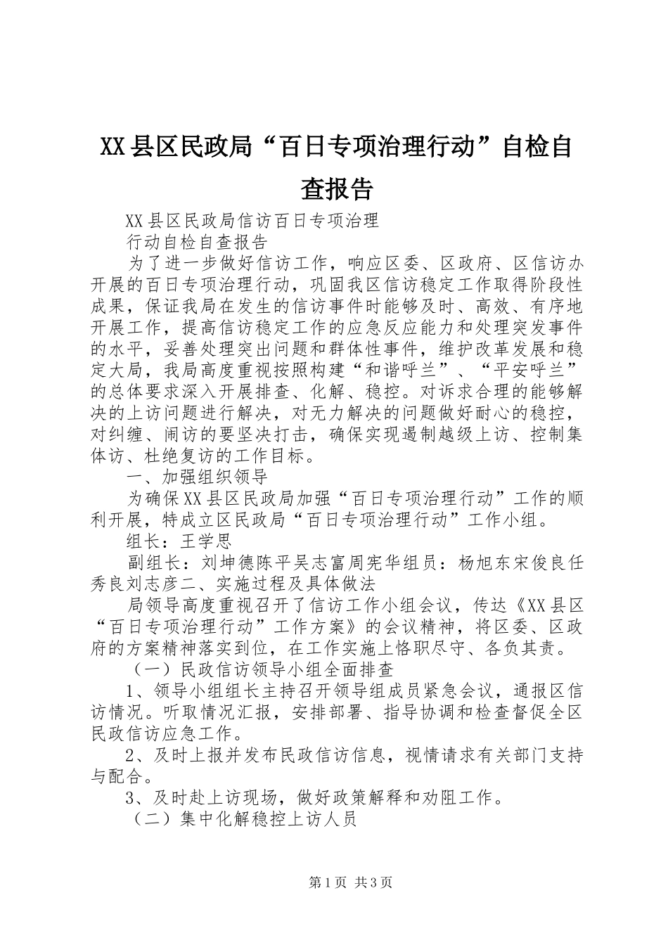 XX县区民政局“百日专项治理行动”自检自查报告_第1页
