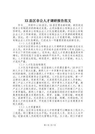 XX县区非公人才调研报告范文