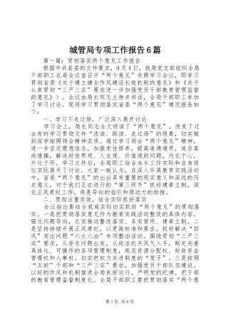 城管局专项工作报告6篇