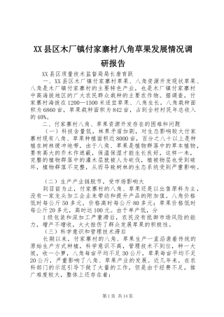 XX县区木厂镇付家寨村八角草果发展情况调研报告