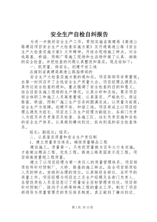 安全生产自检自纠报告