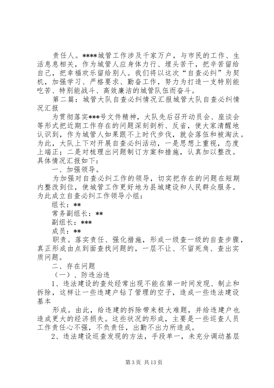城管大队自查必纠情况汇报_第3页