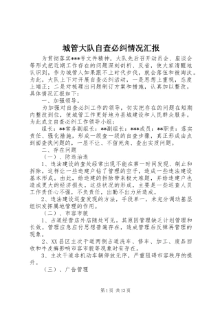 城管大队自查必纠情况汇报