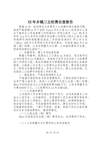 XX年乡镇三公经费自查报告
