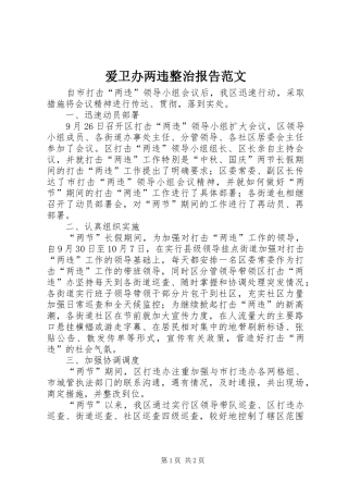 爱卫办两违整治报告范文