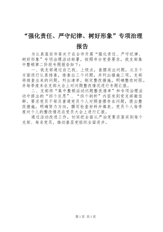 “强化责任、严守纪律、树好形象”专项治理报告