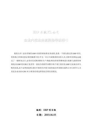 某集团内控与业务流程详细案例