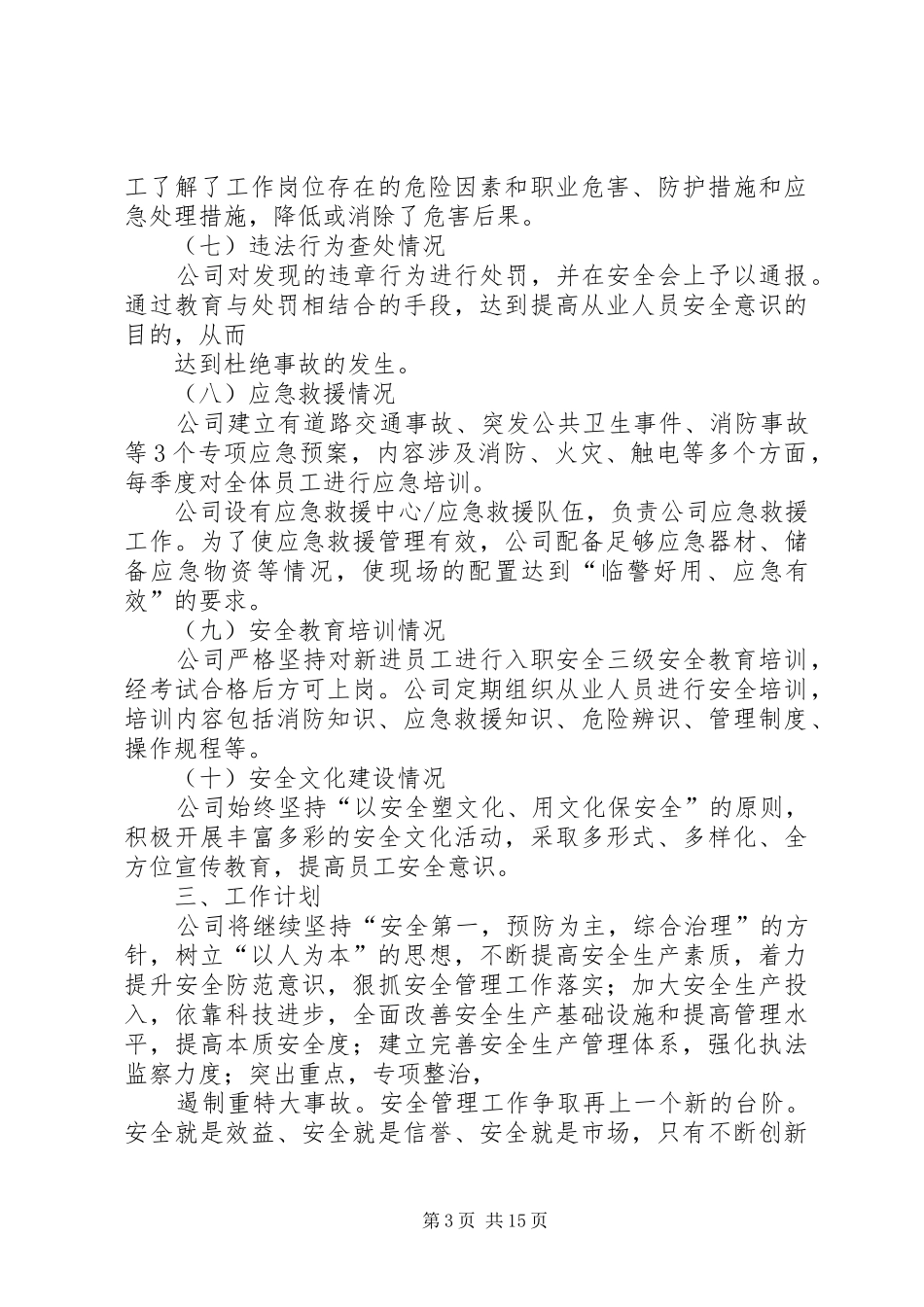 3企业负责人安全生产履职报告_第3页