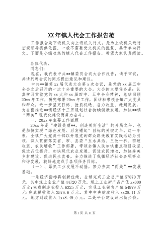 XX年镇人代会工作报告范