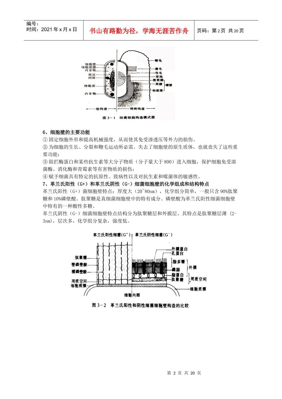 第三章微生物细胞的类群_第2页