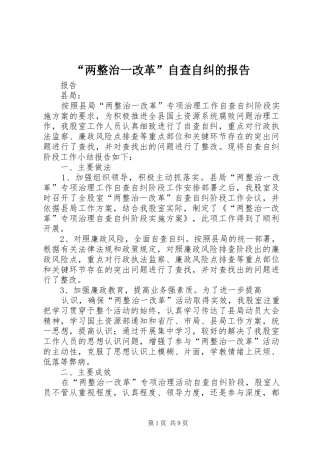 “两整治一改革”自查自纠的报告
