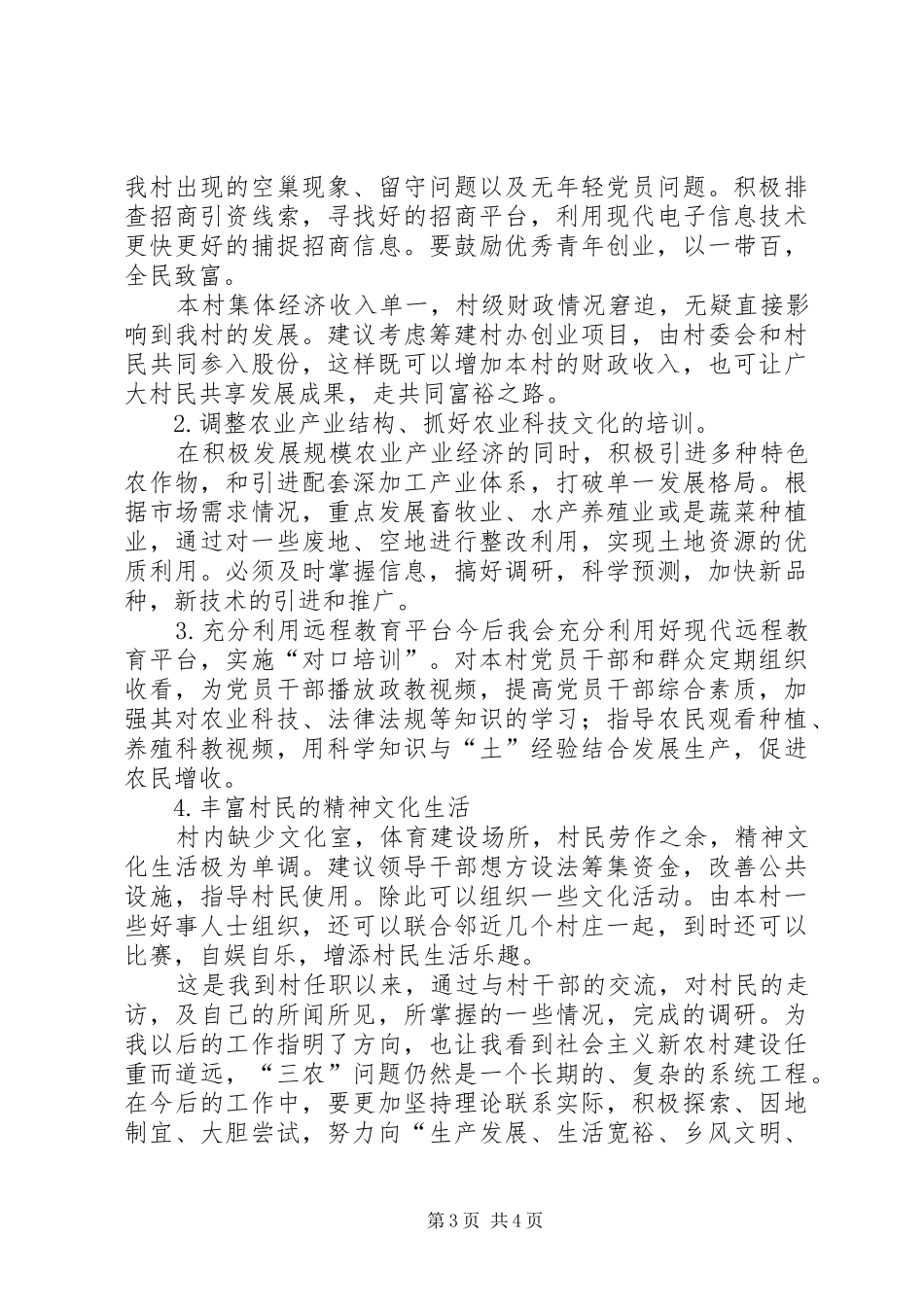 XX村村情调研报告_第3页