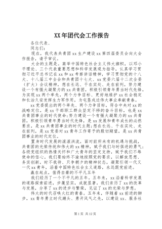 XX年团代会工作报告