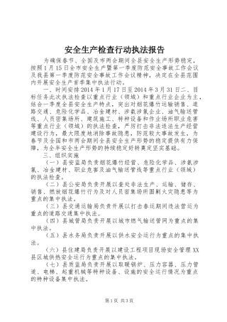 安全生产检查行动执法报告