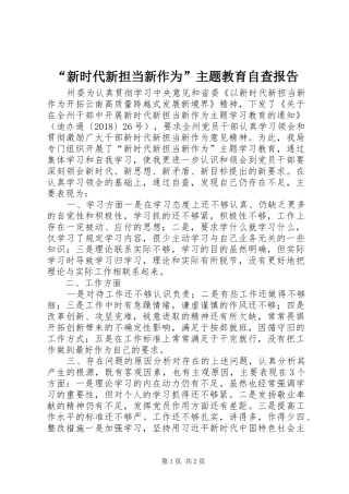 “新时代新担当新作为”主题教育自查报告
