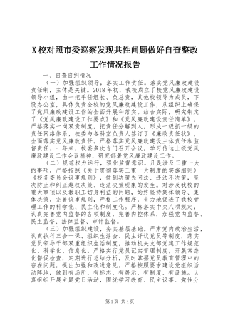 X校对照市委巡察发现共性问题做好自查整改工作情况报告