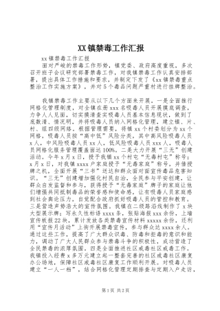 XX镇禁毒工作汇报