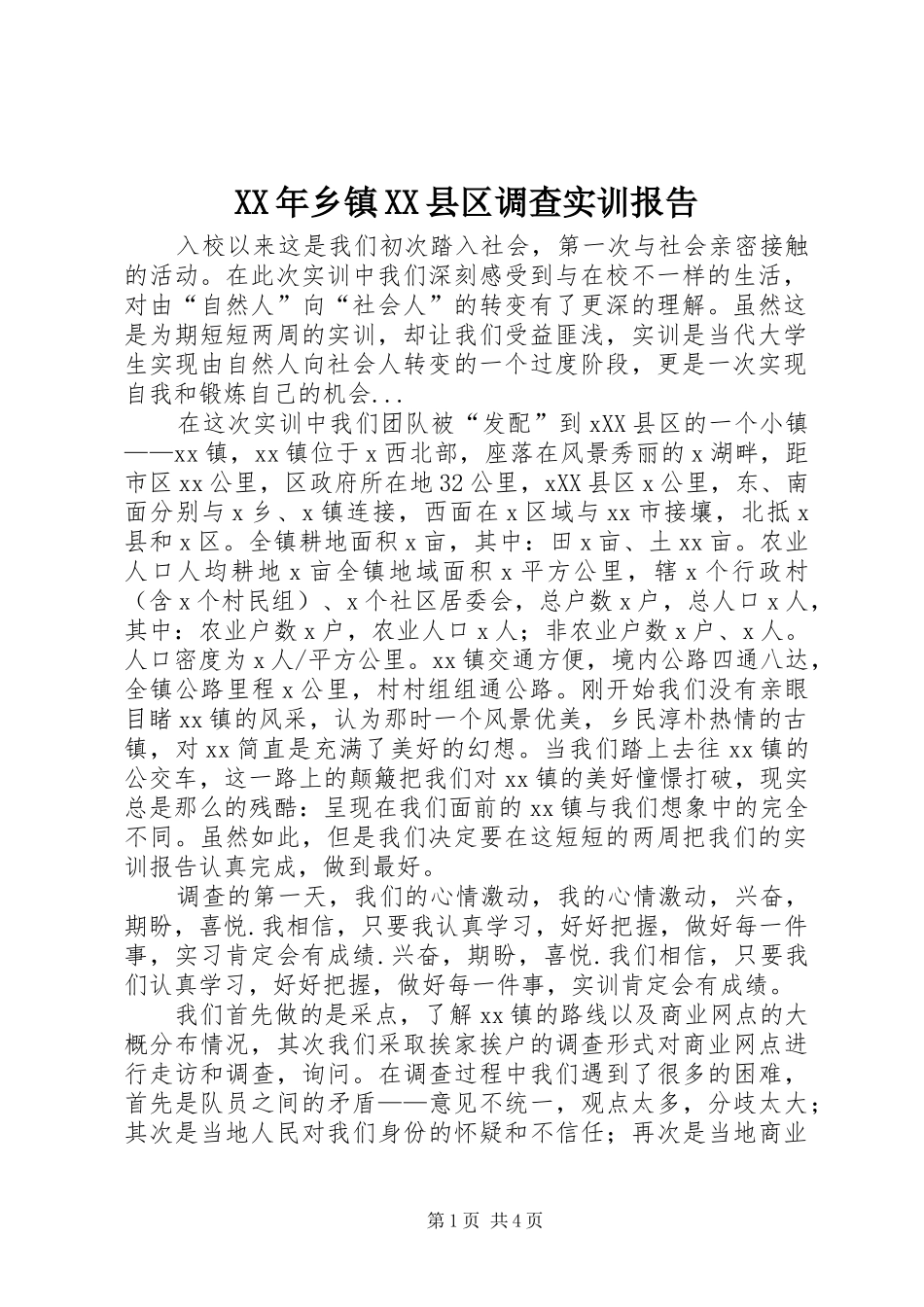 XX年乡镇XX县区调查实训报告_第1页