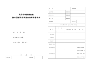 龙岩市创新资金财务审核表-龙岩市中小企业