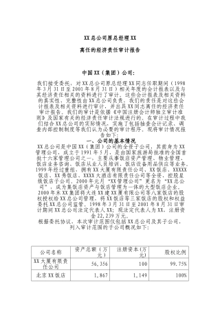某某公司总经理离任经济责任审计报告