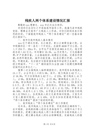 残疾人两个体系建设情况汇报