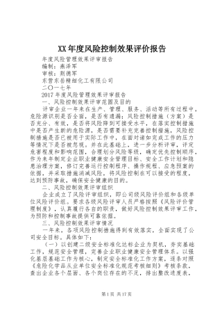 XX年度风险控制效果评价报告