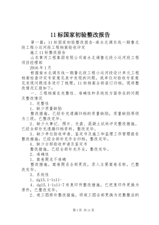 11标国家初验整改报告