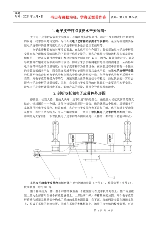电子皮带秤必须要水平安装吗