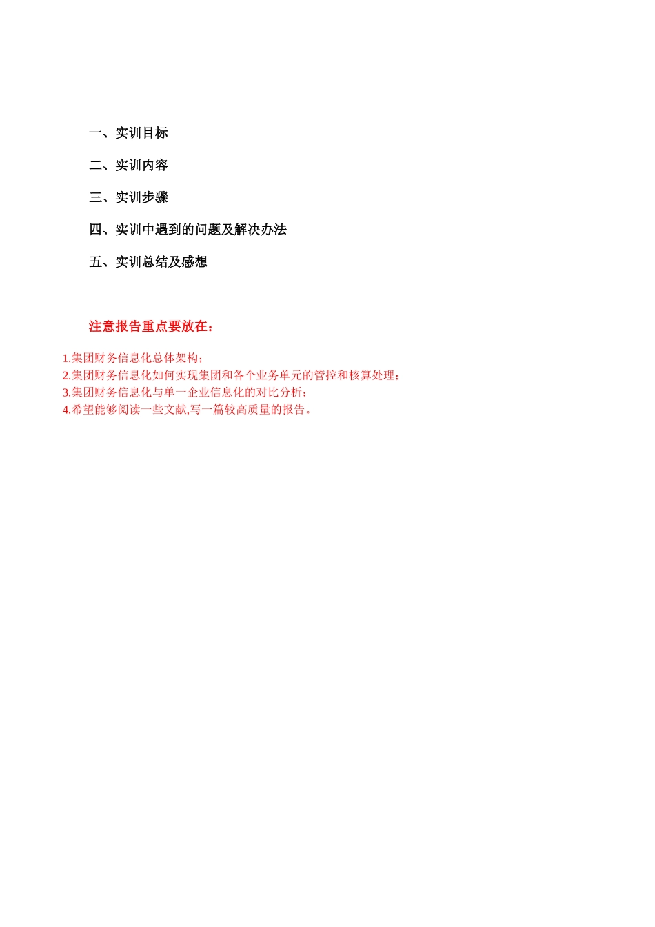 集团财务信息化报告模板_第2页