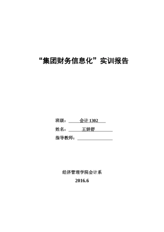 集团财务信息化报告模板