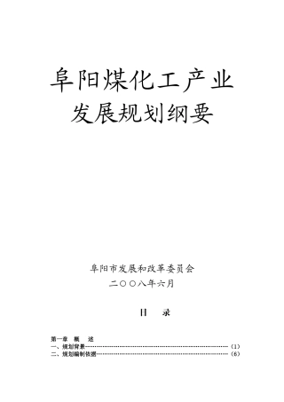 阜阳煤化工发展规划