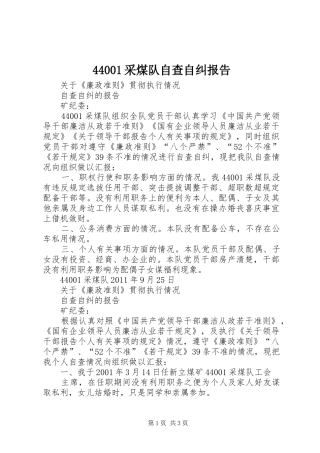 44001采煤队自查自纠报告