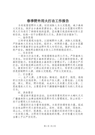 春季野外用火打击工作报告