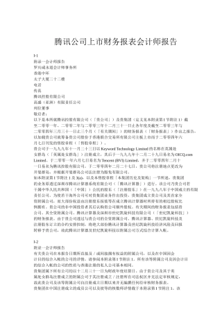 某科技公司上市财务报表会计师报告